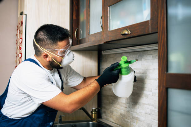 Best Commercial Pest Control Services  in Hebbronville, TX