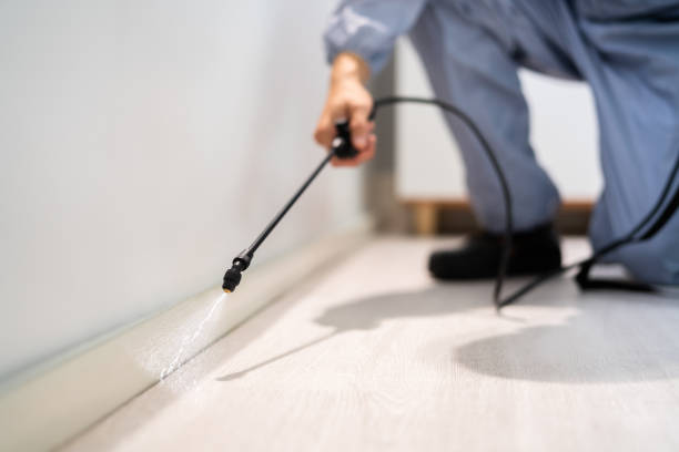 Best Pest Inspection Near Me  in Hebbronville, TX