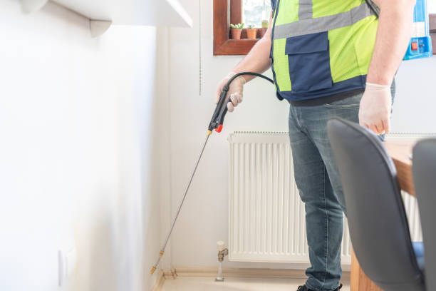 Best Residential Pest Control  in Hebbronville, TX
